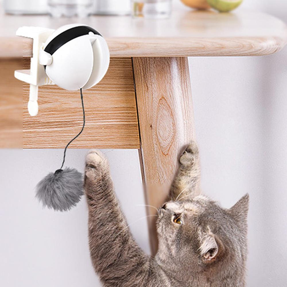 Divertente giocattolo elettrico per gatti