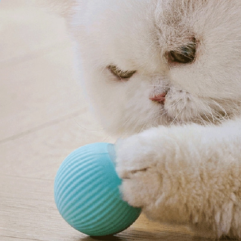 Palla giocattolo smart per gatti-Spoiledpets