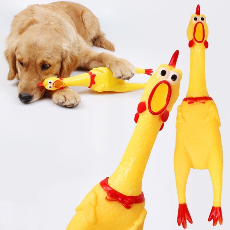 Pollo giocattolo per cani