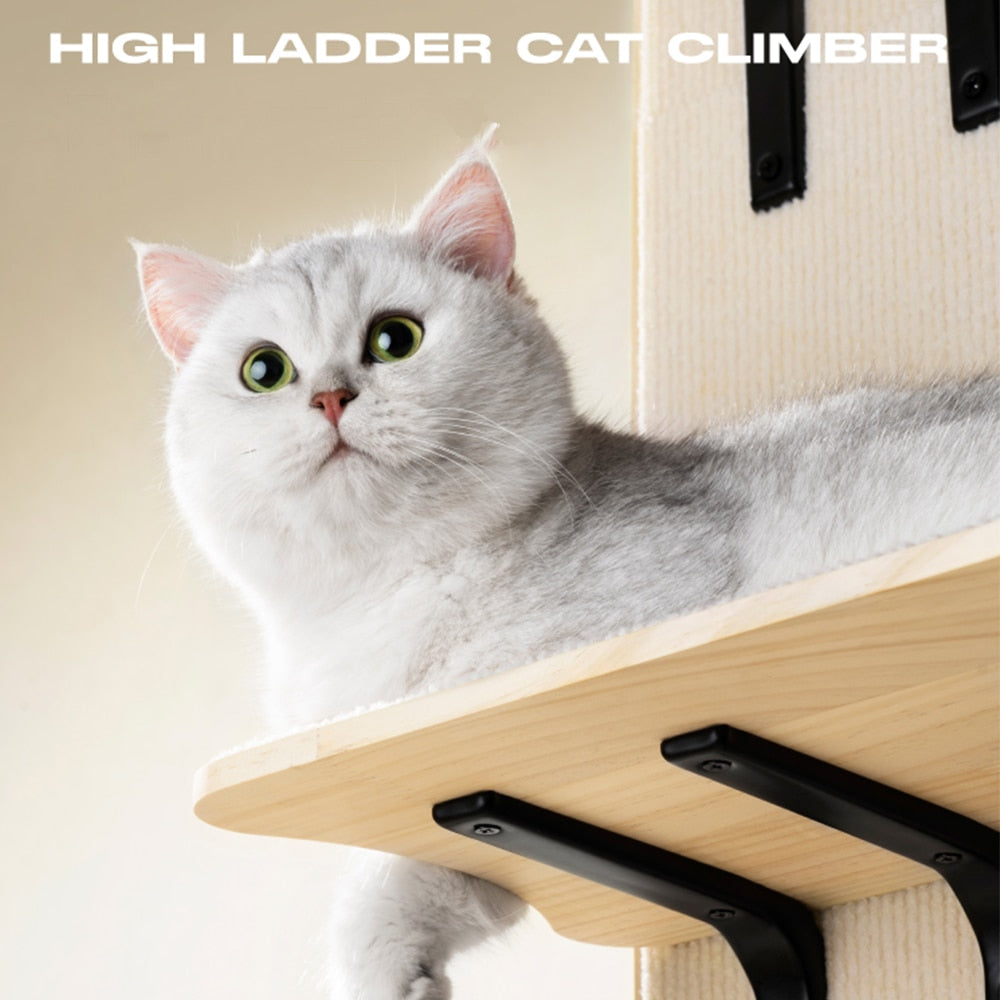 Arredamento per arrampicata gatti