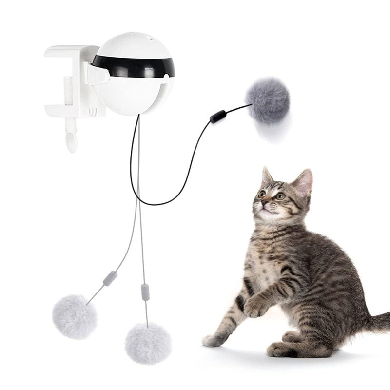 Palla giocattolo per gatti interattiva-Spoiledpets